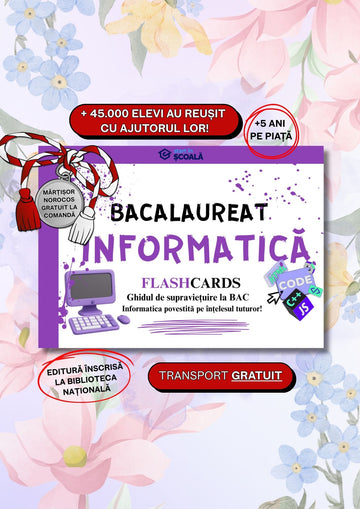 BAC - Informatică