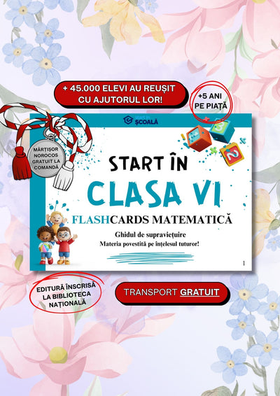 Clasa VI - Matematică