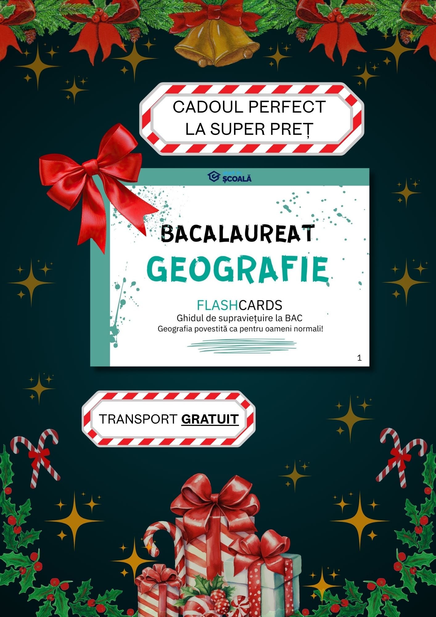 BAC - Geografie