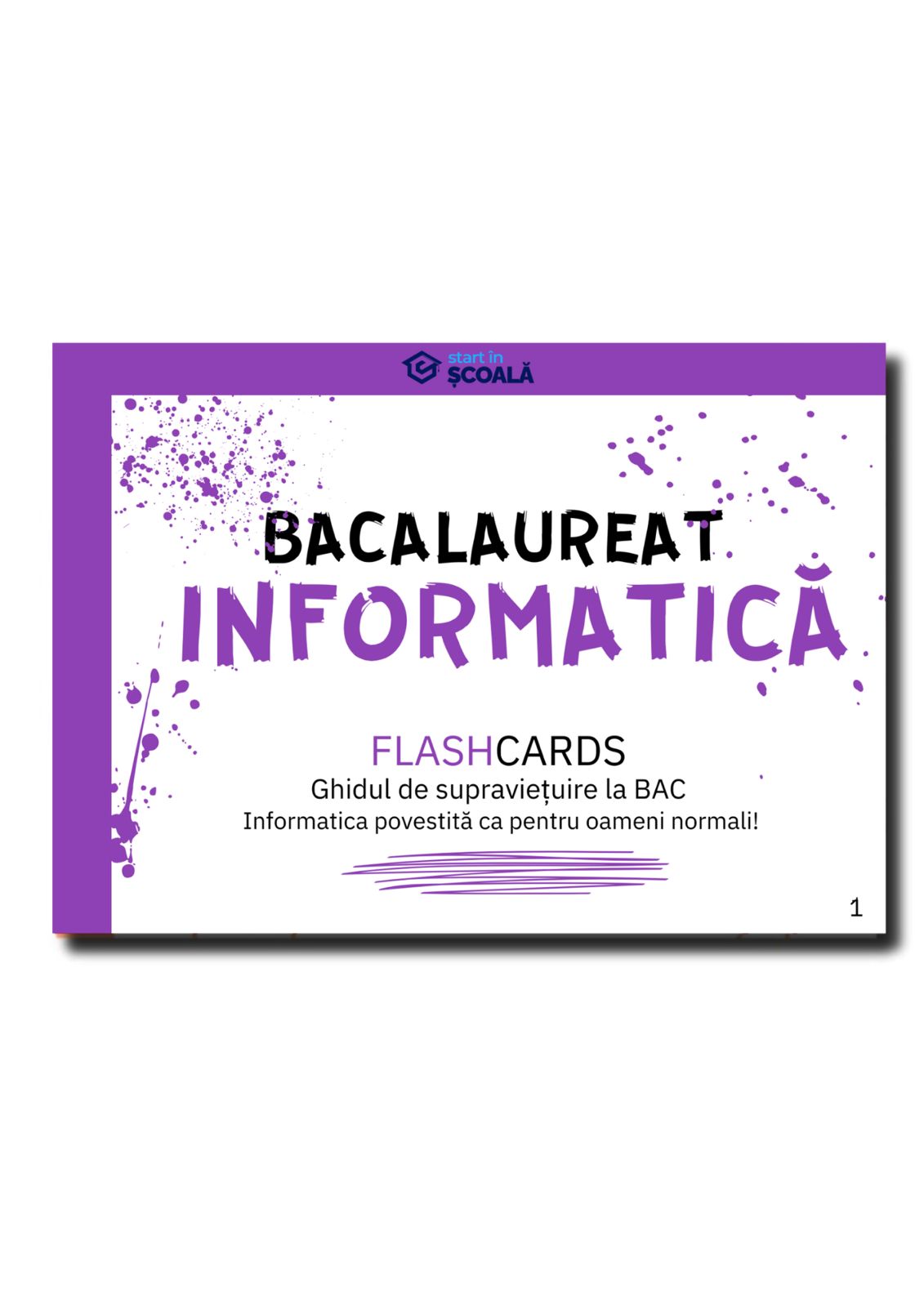 BAC - Informatică