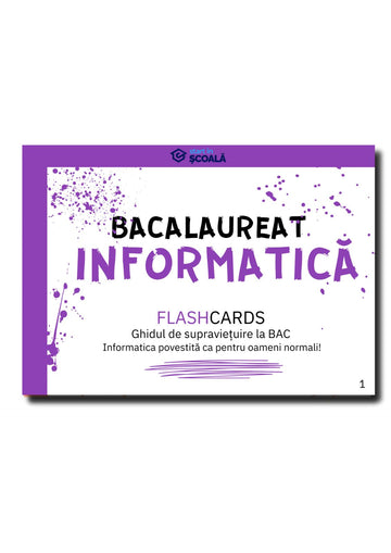 BAC - Informatică