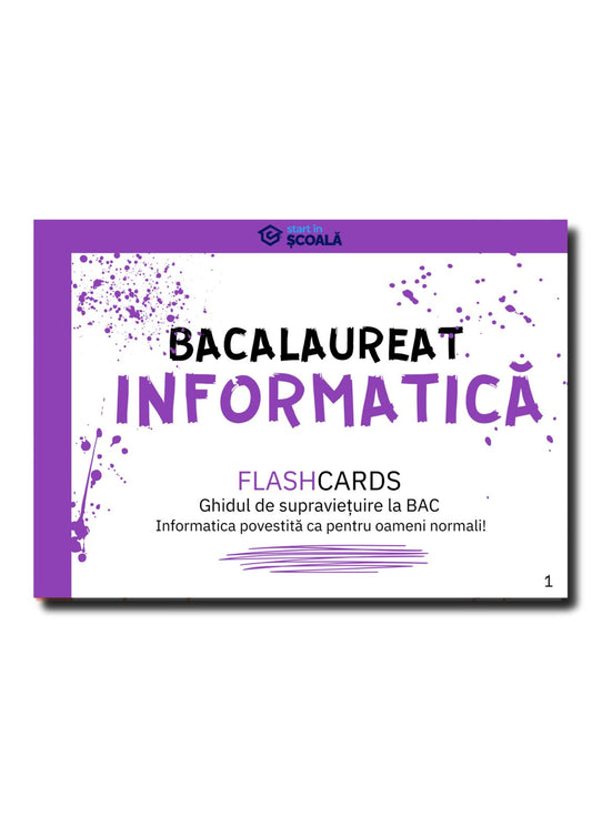 BAC - Informatică