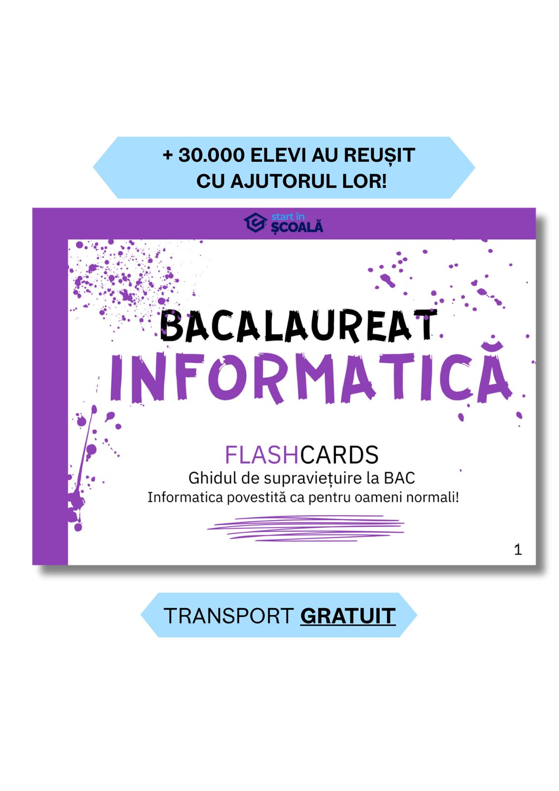 BAC - Informatică